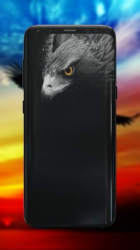 Eagle Wallpaper screenshot 7