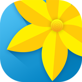 Gallery icon