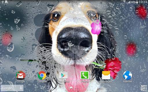 Animals Cute Live Wallpaper screenshot 6