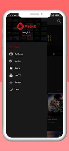 MagicB screenshot 4