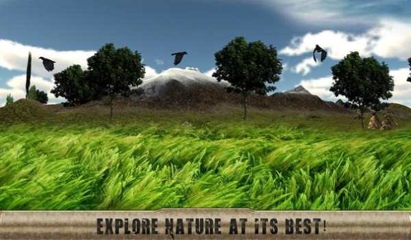 Bird Hunting Season 2015 screenshot 11