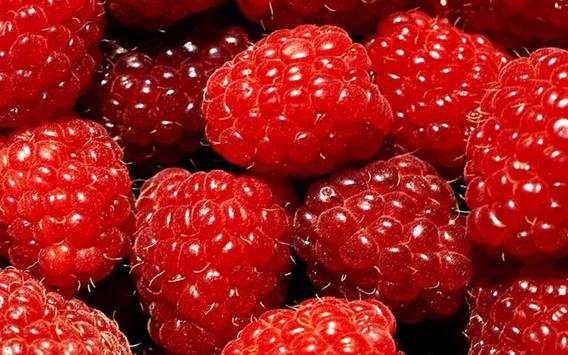 Berry Best live wallpaper screenshot 4