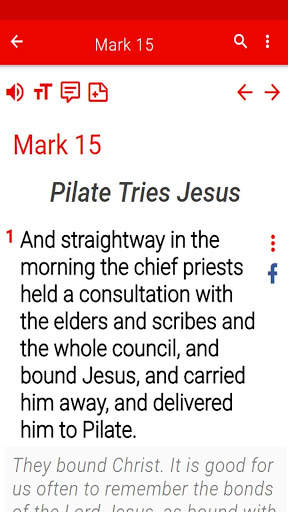Study Bible 📖 screenshot 6