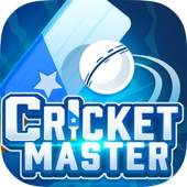 Cricket Master 0.0.15