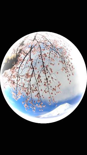 Camera Filter screenshot 1