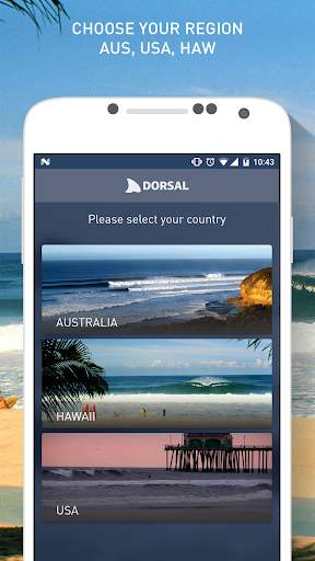 Dorsal Shark Reports screenshot 1