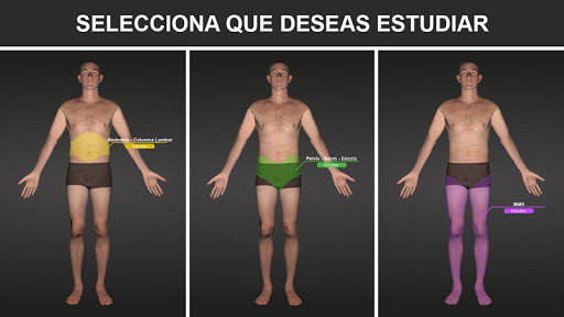 RX - Posiciones Radiológicas screenshot 2