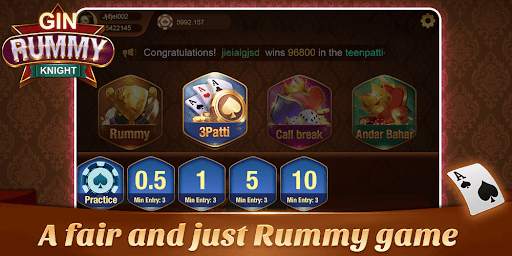 Gin Rummy knight-Indian Rummy Game screenshot 3