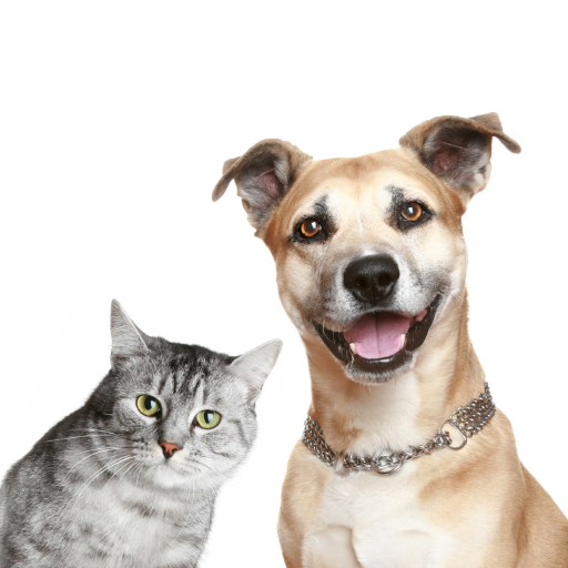 Dog Cat Animal Sounds icon
