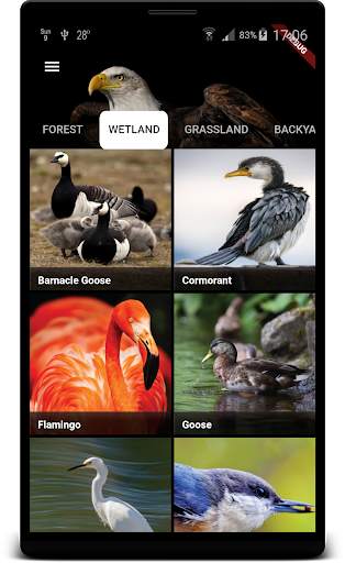 Bird Sounds स्क्रीनशॉट 3