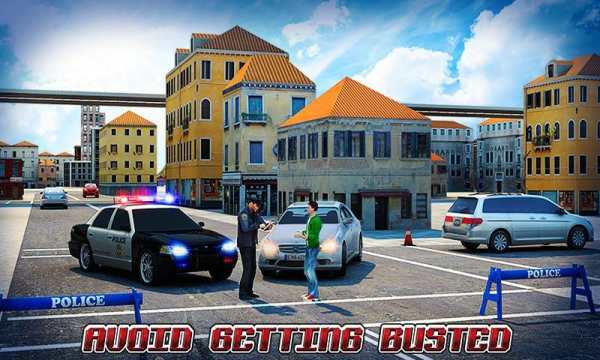 Border Police Adventure Sim 3D screenshot 5