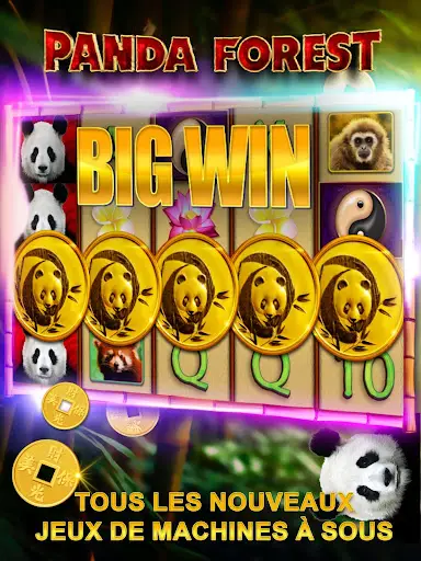 Good Fortune : Machines à sous screenshot 8