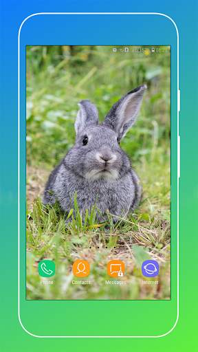 Rabbit Wallpaper screenshot 9