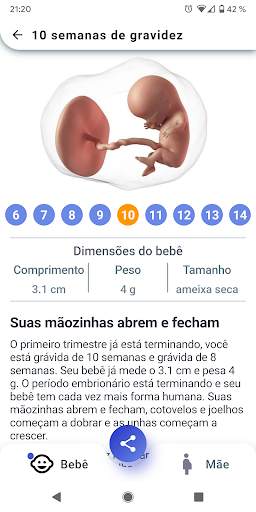Minha Gravidez Semana a Semana screenshot 2