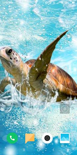 Turtle HD Wallpaper screenshot 3