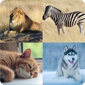 The world of animals 7.1.3z