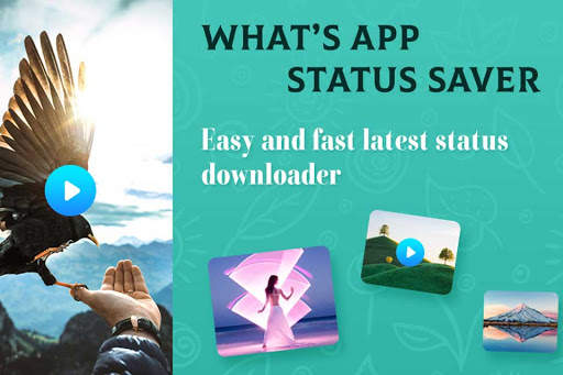 Status Saver screenshot 5