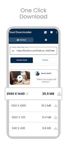 Seal Downloader screenshot 1