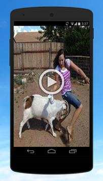 Funny Videos – Top Funny Clips screenshot 5