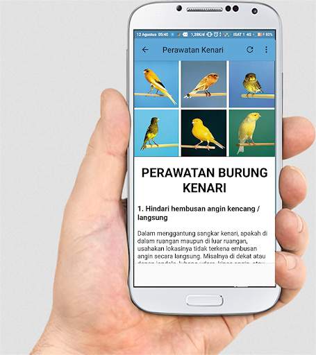 TERAPI KENARI F1 MASTER screenshot 8