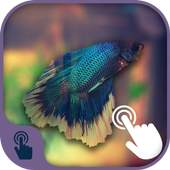 3D Touch Live Photo Wallpaper 1.0