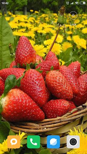 Strawberry Wallpaper HD screenshot 14