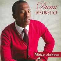 Dumi Mkokstad Songs logo