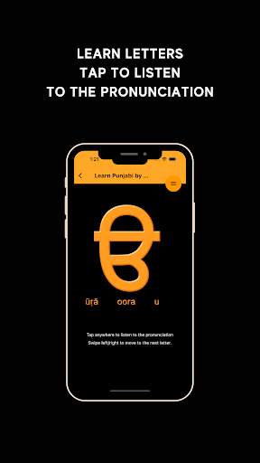 Learn Punjabi screenshot 2