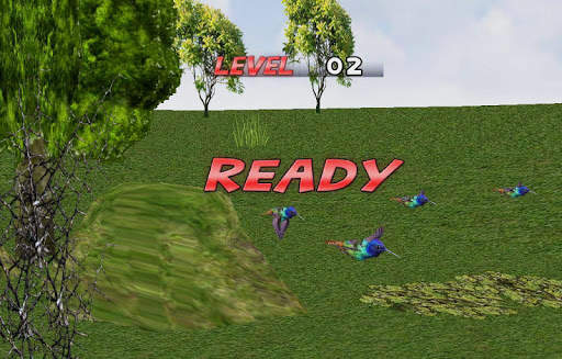 Bird Race 3D screenshot 3