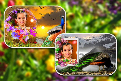 Peacock Photo Frames screenshot 18