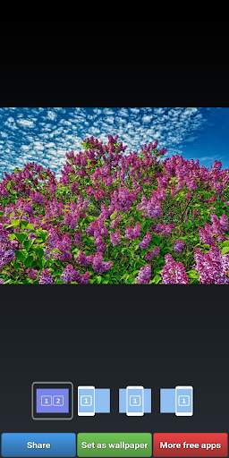 Lilac Wallpapers screenshot 3