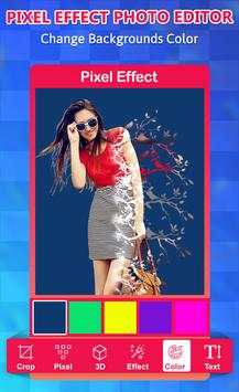 Pixel Effect Photo Editor screenshot 2