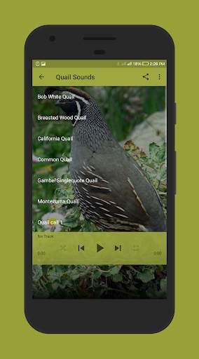 Quail Sounds screenshot 2