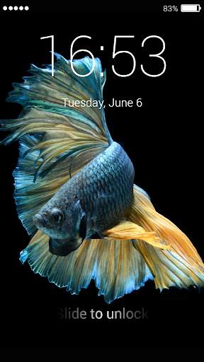 Betta Fish Lock Screen 8 تصوير الشاشة