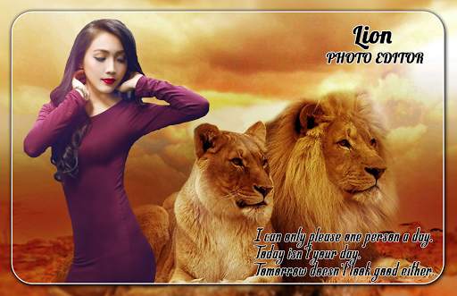 Lion Photo Editor screenshot 3