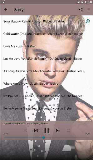 Justin Bieber Top Album Offline screenshot 3