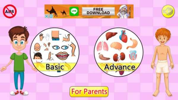 Learn body parts (Free) 4 تصوير الشاشة