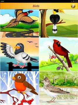 Birds Pictures Game for Kids screenshot 13