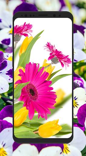 HD 3D Flower Wallpapers 4K background screenshot 7