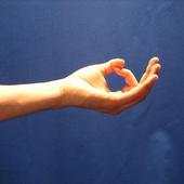 Mudra World 1.0