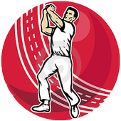 Bowling Speed icon