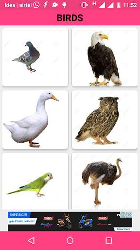Animals and Birds Sounds screenshot 4