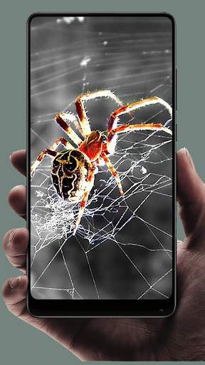 Spider Wallpaper screenshot 16