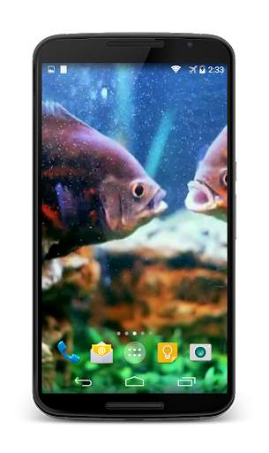 Aquarium Video Live Wallpaper screenshot 5