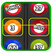 Slots - Bingo Casino icon