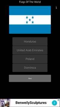 Flags of the World screenshot 2