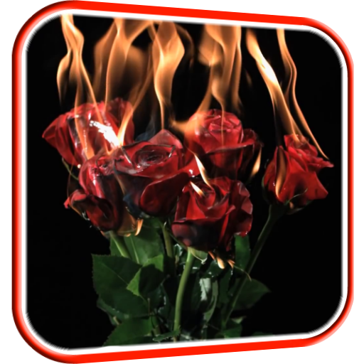 Burning Roses Live Wallpaper icon
