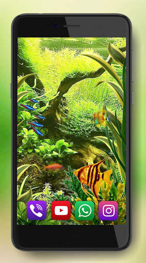 Aquarium Fishes LWP screenshot 4
