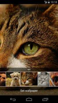 Wap wallpapers स्क्रीनशॉट 3