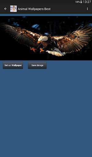 Animal Wallpapers App 🐈🐅🐎 : Animal Background screenshot 11
